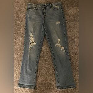Style & Co. Distressed Blue Jeans